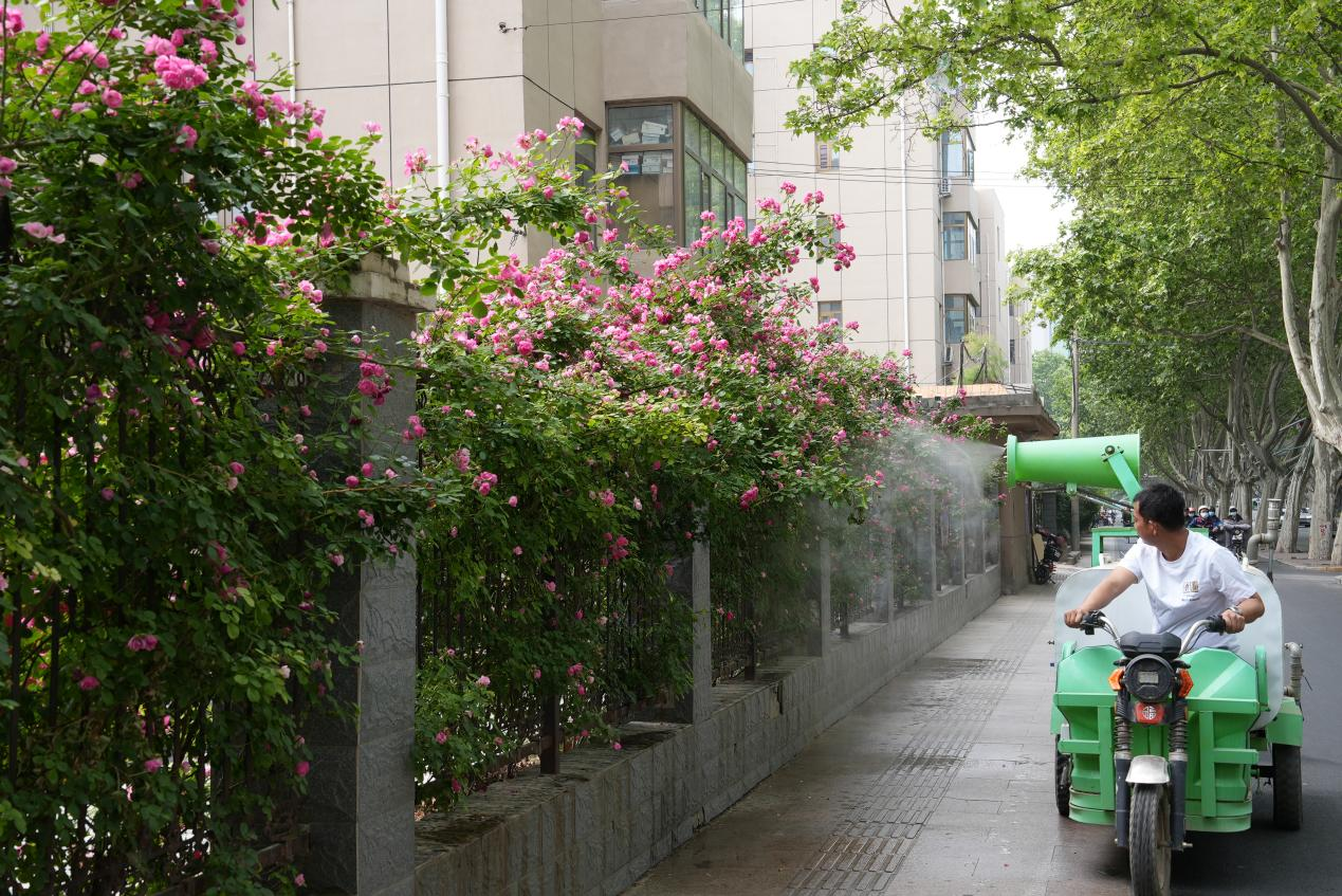 河北邯郸：扮靓城市提升颜值  开启城市景观新“美颜”_fororder_图片2