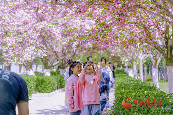 【轮播图】最美四月天 陇南金徽开启“赏花模式”_fororder_3