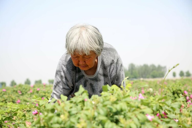 图片默认标题_fororder_2