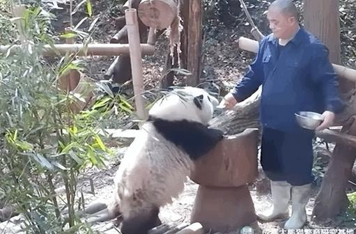 （转载）共赴大运之约 | “花花”喊你果赖！