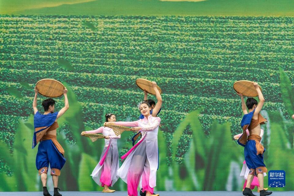 【城市远洋】第十届重庆永川国际茶文化旅游节启幕
