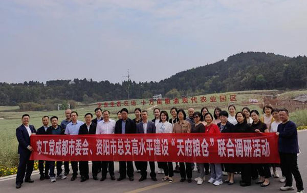农工党资阳市总支、简阳市支部联合开展乡村振兴调研_fororder_调研现场-供图-简阳市委统战部