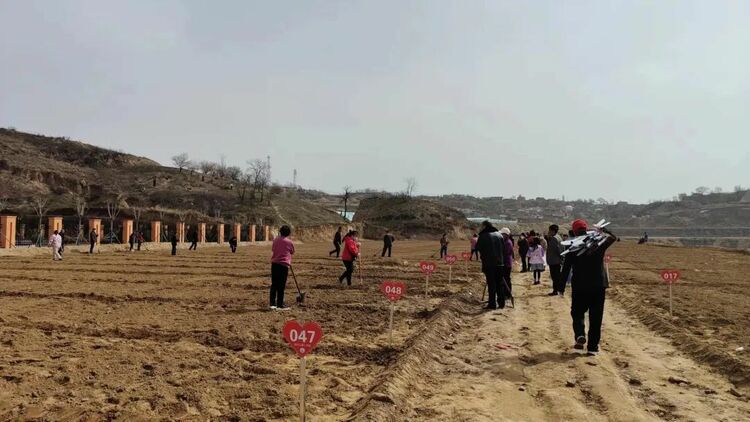府谷县新府山社区：搬迁群众有了“菜园子” 过上幸福“好日子”_fororder_图片38