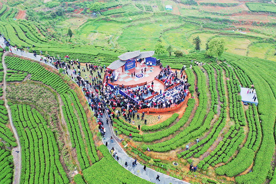 福建霞浦水门：畲乡遇茶乡 别样“三月三”_fororder_截图20230423090903