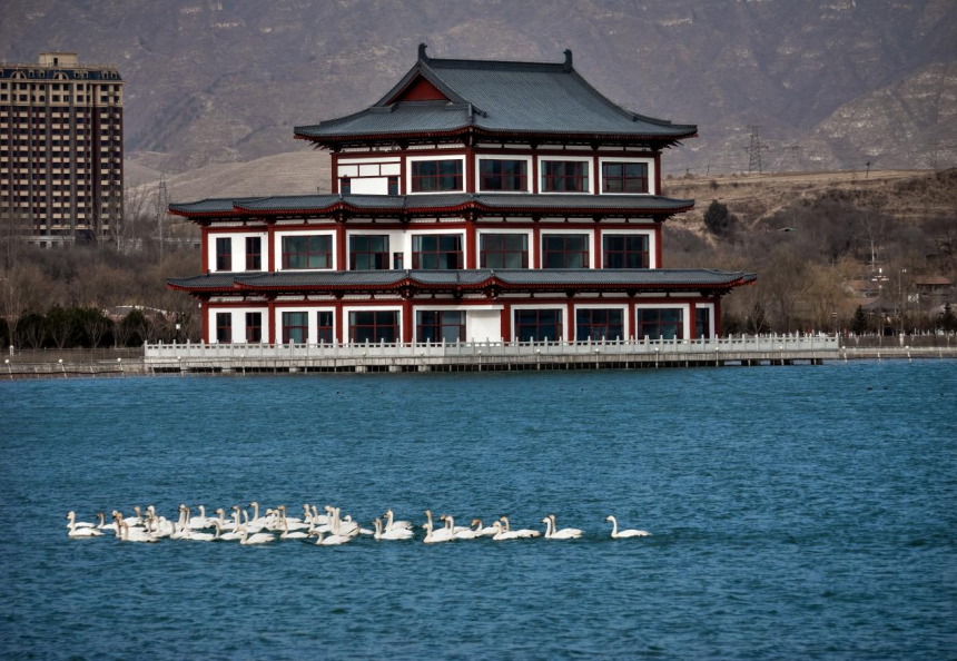 图片默认标题_fororder_LOCAL16819526889554TQQ6C6JMB