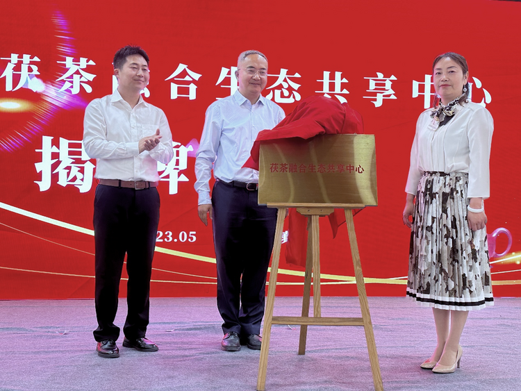 西咸新区茯茶镇：共建茯茶融合生态共享中心 共助茯茶“走出去”_fororder_图片8