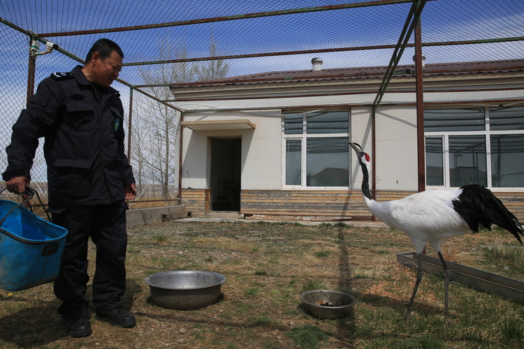 国际生物多样性日丨内蒙古辉河国家级自然保护区谱写美丽生态新画卷_fororder_微信图片_202305221409361