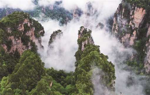 湖南张家界：雨后云海_fororder_1