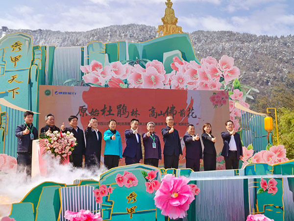 （张）2023年四川花卉（果类）生态旅游节暨第三届“峨眉金顶 佛国花海”峨眉山杜鹃花节开幕_fororder_开幕式现场-摄影-张琬沁