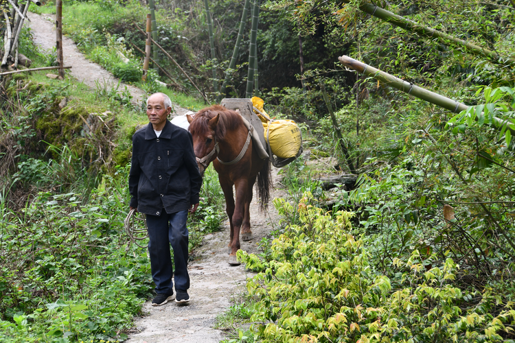 坚持46年为乡亲们送货上门 湖南新邵有位“马上邮递员”_fororder_图片1