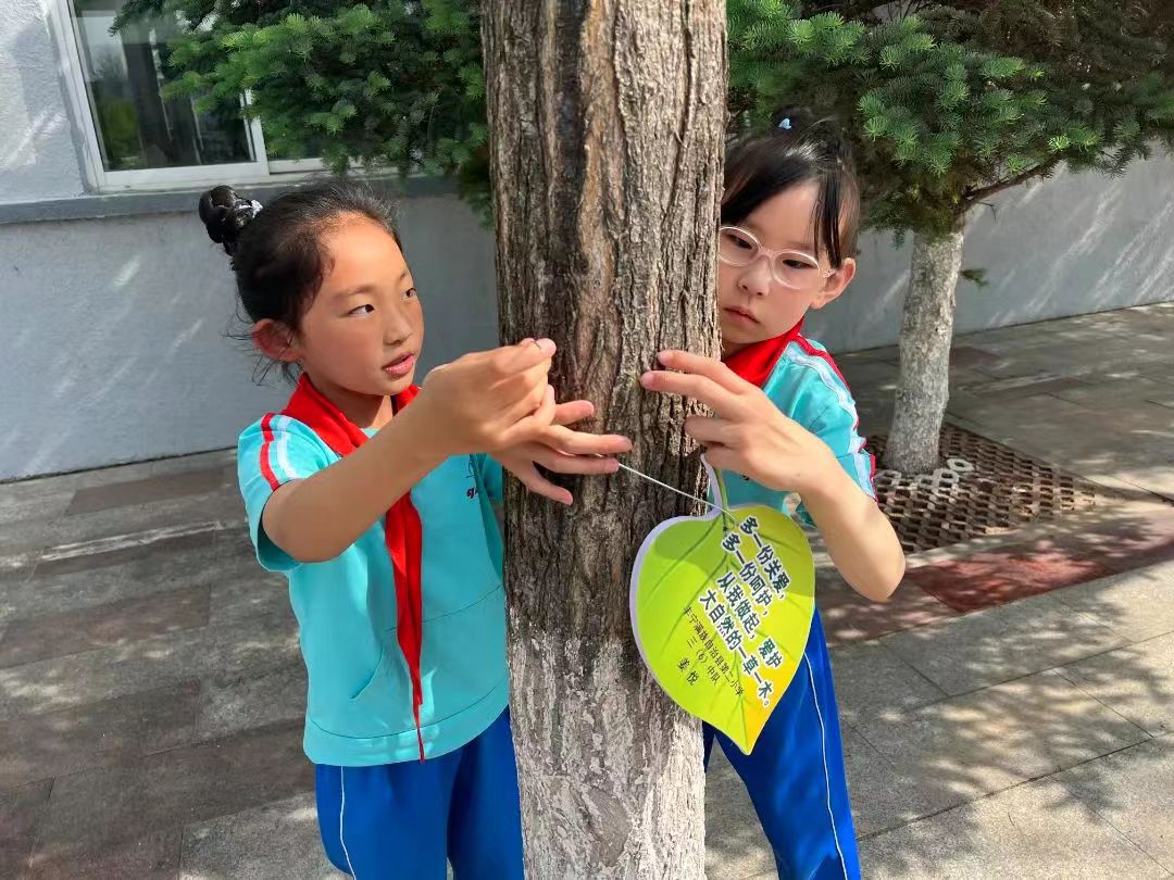 培训新农人振兴新农村_fororder_丰宁第二小学少先队为小树挂认领牌