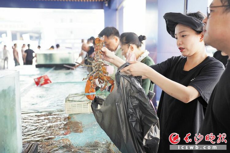 湖南（红星）农产品流通产业园红星海鲜水产批发市场开业 家门口一站购全球海鲜_fororder_1