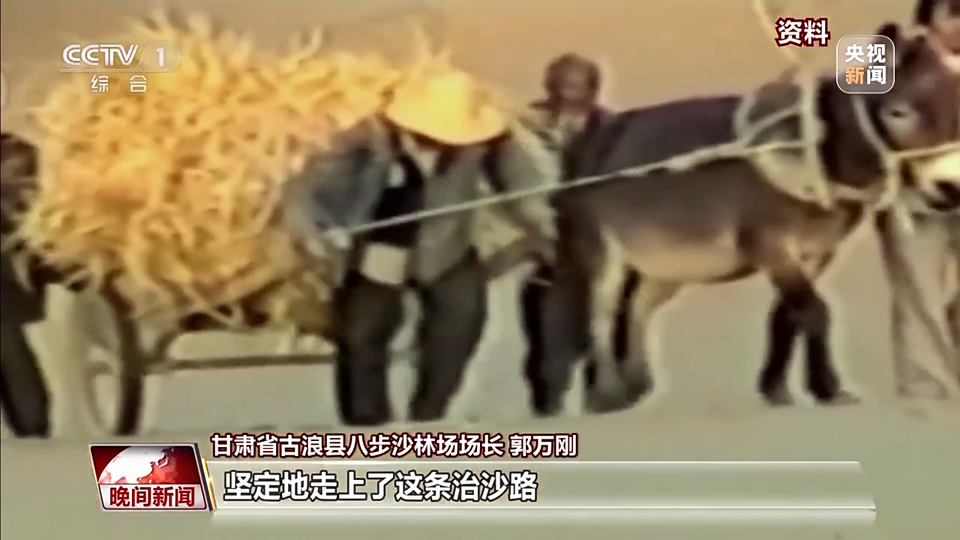 礼赞劳动者！他们坚守一线用汗水谱写赞歌
