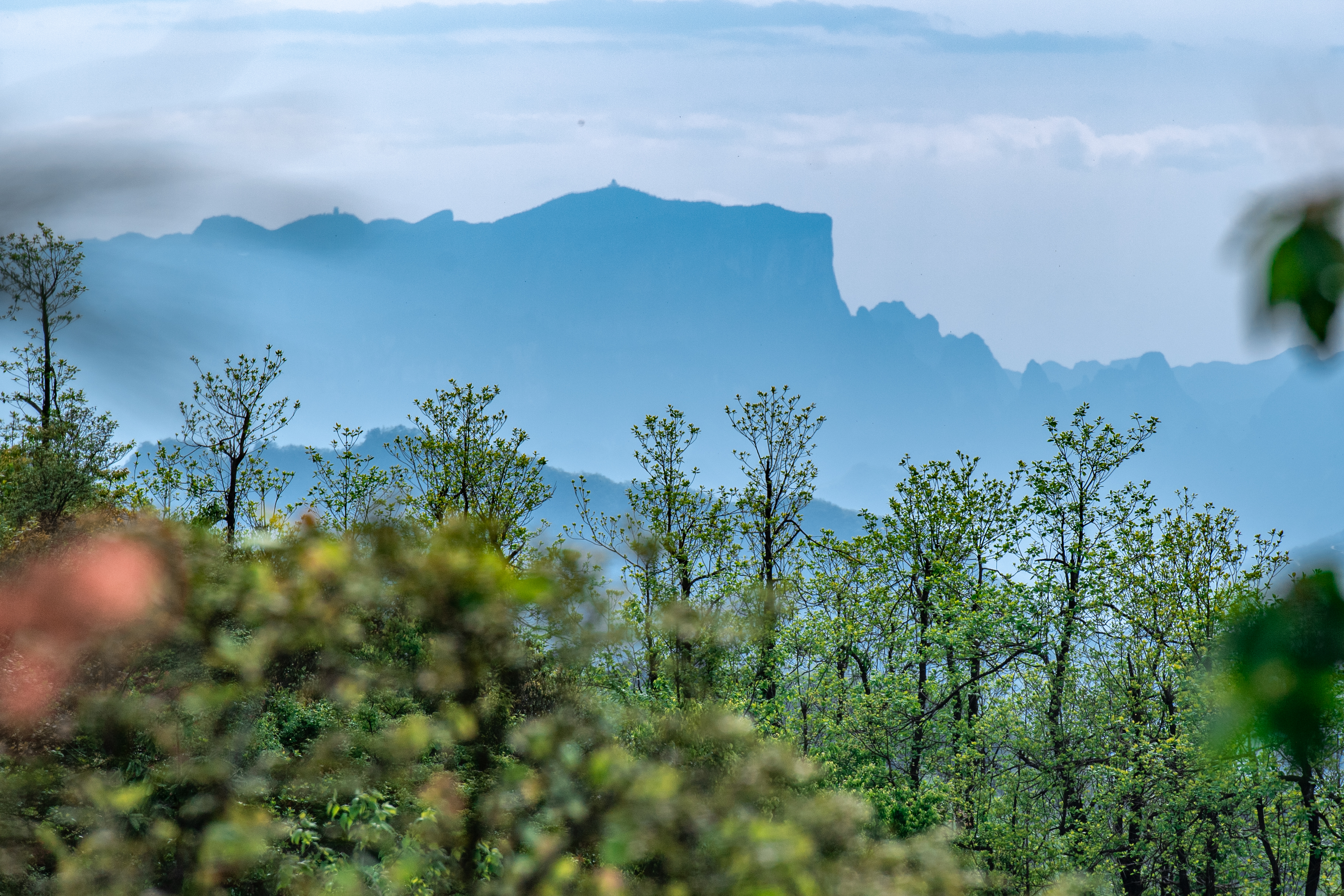 张家界有座杜鹃山_fororder_DSC_0298.JPG