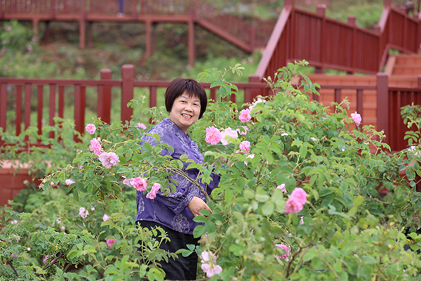 （张）眉山丹棱：从“输血兜底”到“造血共建” 村集体经济实现百花齐放_fororder_游客在万年村的玫瑰园里拍照-供图-丹棱县委宣传部