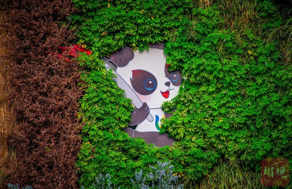 （转载）边走边拍⑥ 来成都街头与“大熊猫”偶遇