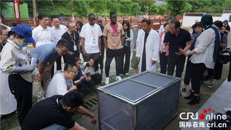 Belt and Road International Youth Experience Team Arrives in Dongzhai National Nature Reserve_fororder_图片10