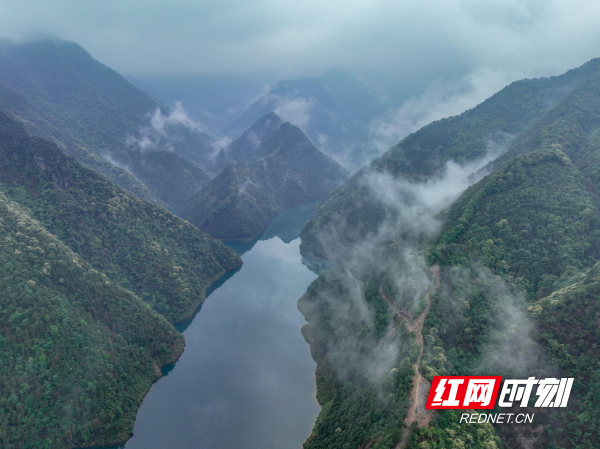 湖南道县：云雾缭绕生态美