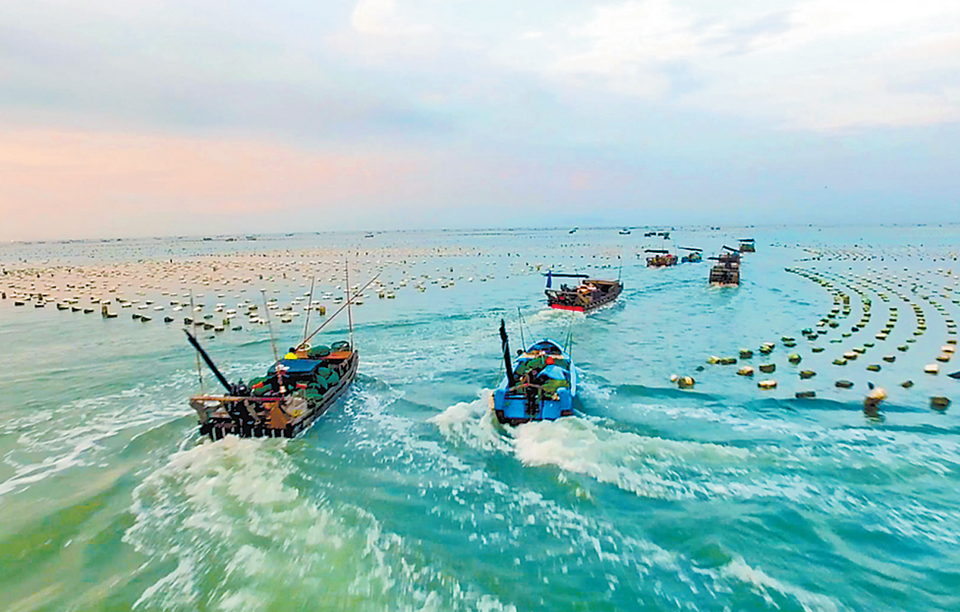 漳州海产游进新蓝海_fororder_微信截图_20230510094740