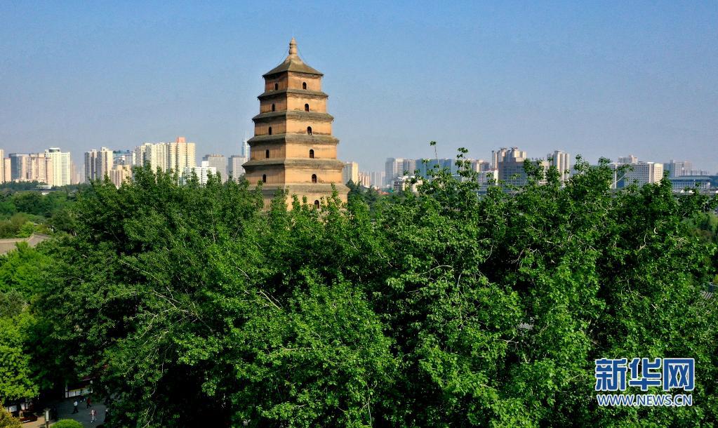 打卡古都西安的文化地标——大雁塔