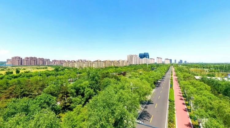 西咸新区秦汉新城持续提升城市功能品质_fororder_图片1