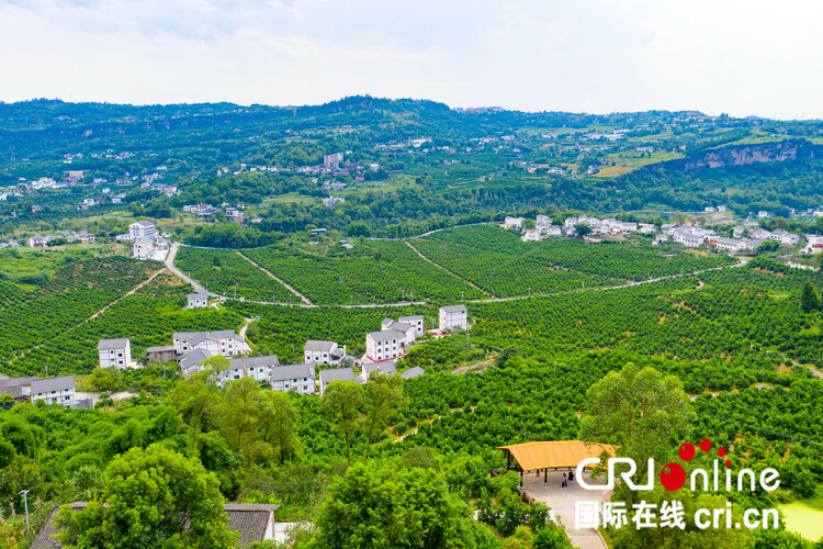 重庆万州区甘宁镇积极发挥资源优势 大力发展现代农业产业体系_fororder_01