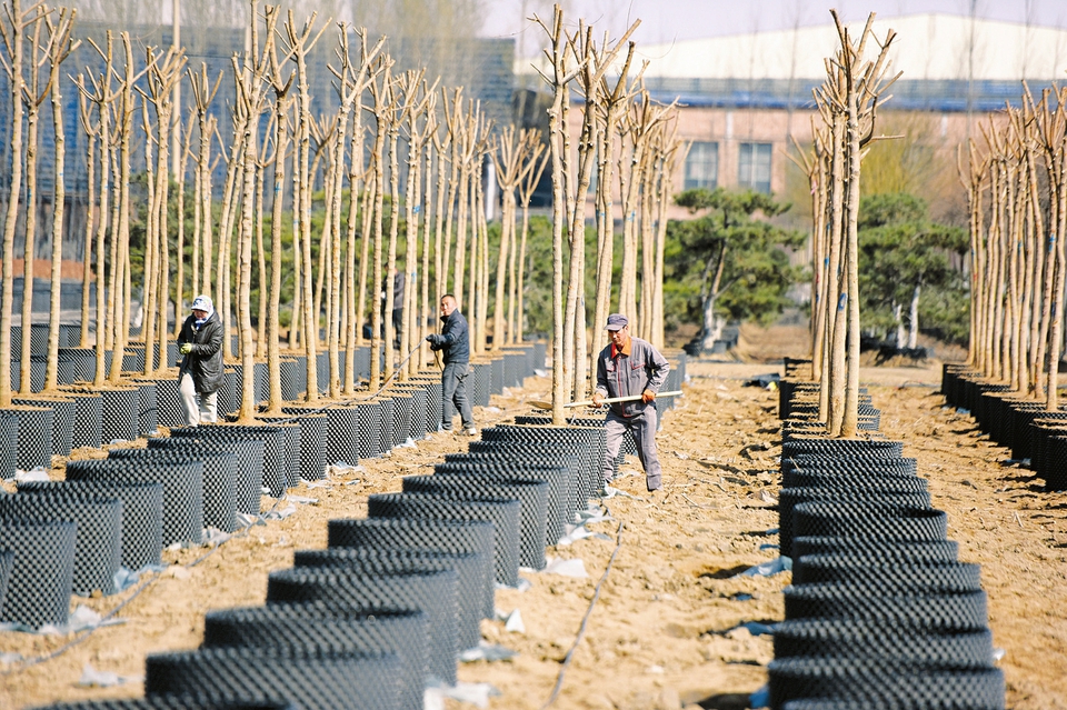 2025年苗圃行业市场深度调研及发展趋势预测(图1)