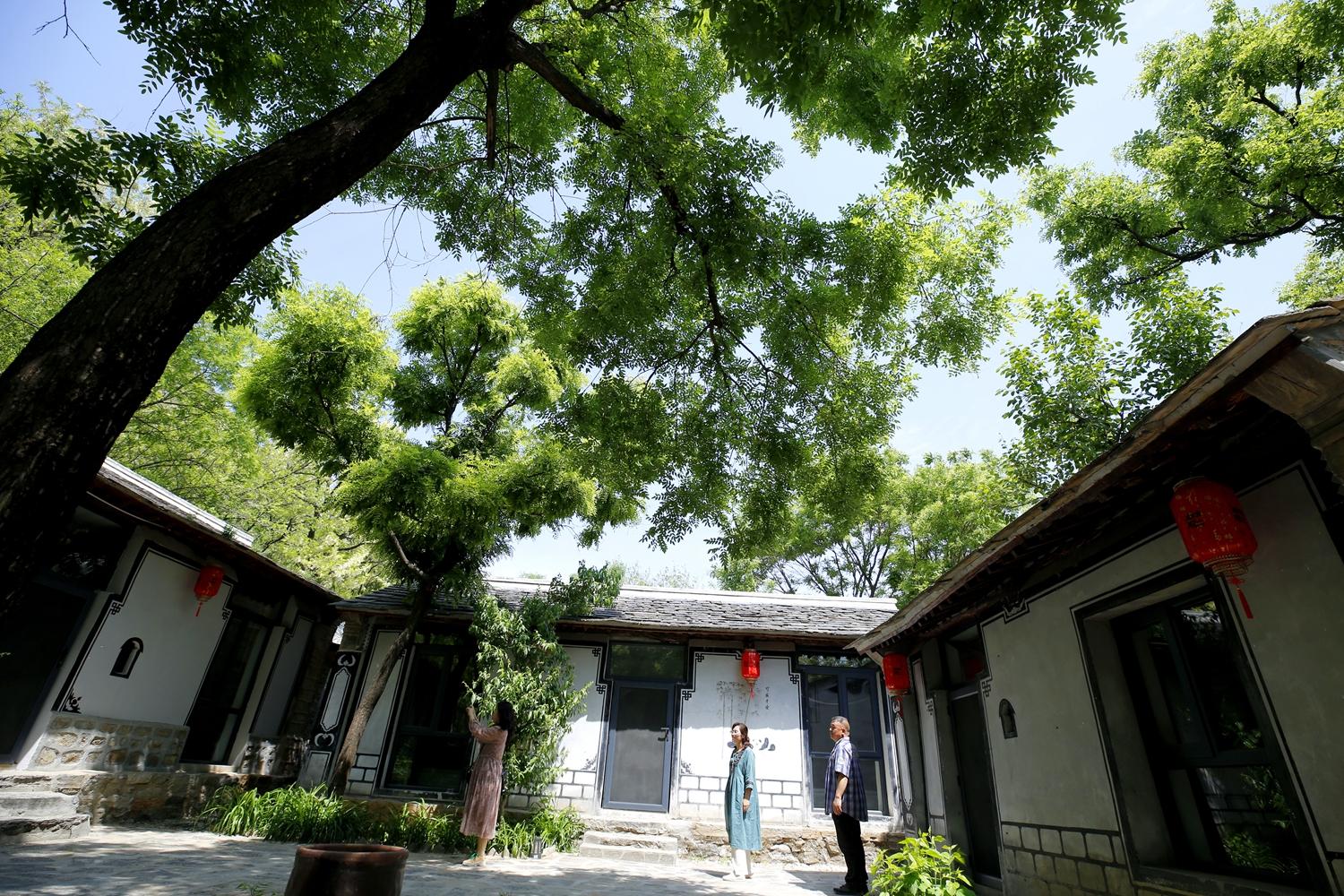 （原创）保定市满城区：举行文化惠民书画笔会 笔墨含情润山乡_fororder_柿林小院 摄影 张丽双