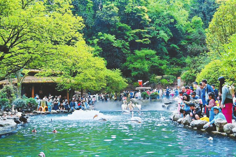 （转）文旅深度融合 潮动安逸四川_fororder_e8939cd6a68847b788500a1a41aa8115