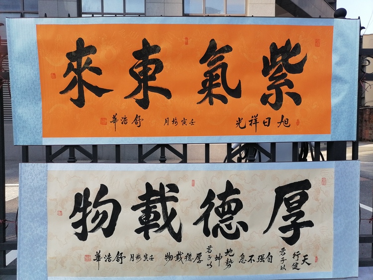 舒浩华书法：浩荡有形 华翰有神