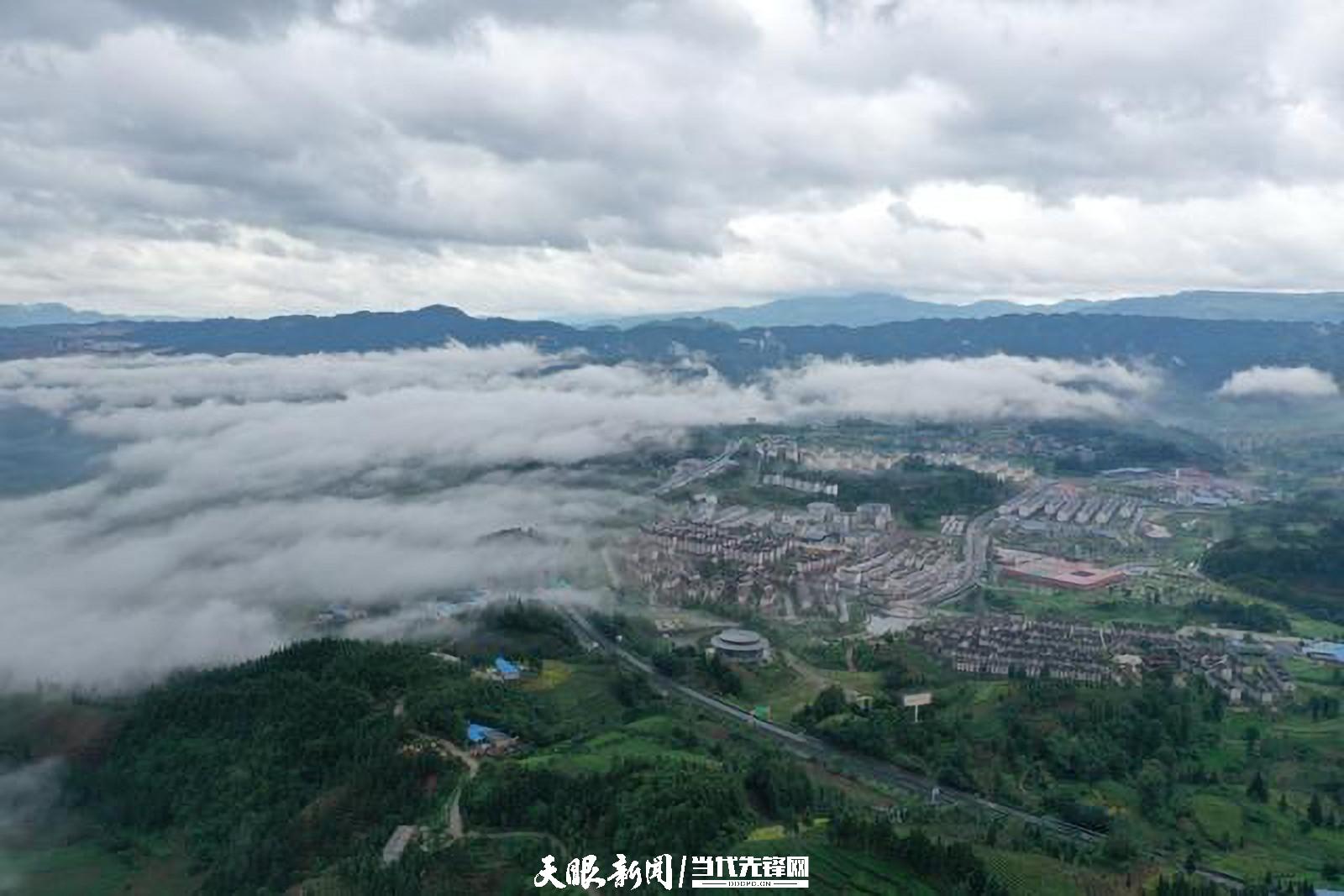 （中首）贵州普安：万亩茶山景色美茶旅融合谱新篇