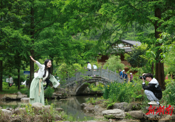四月湖南春似锦 文旅成绩喜煞人