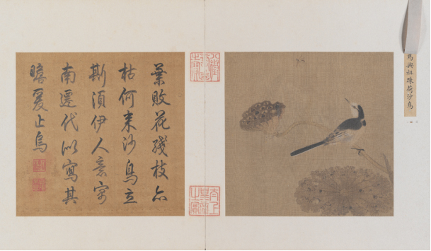盛世莲开——中国文化中的莲荷意象特展在四川博物院举行_fororder_未标题-4