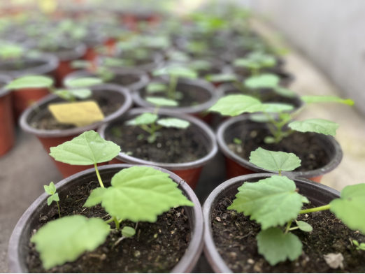 成都市公园城市建设管理局举办“生物多样性探访周”活动_fororder_未标题-2