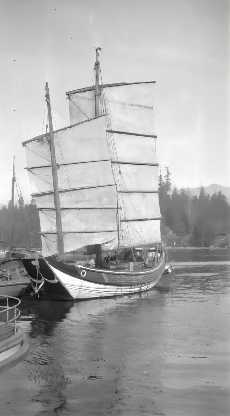 八闽文脉·向海 |“厦门号”：101年前一艘福船的跨洋传奇