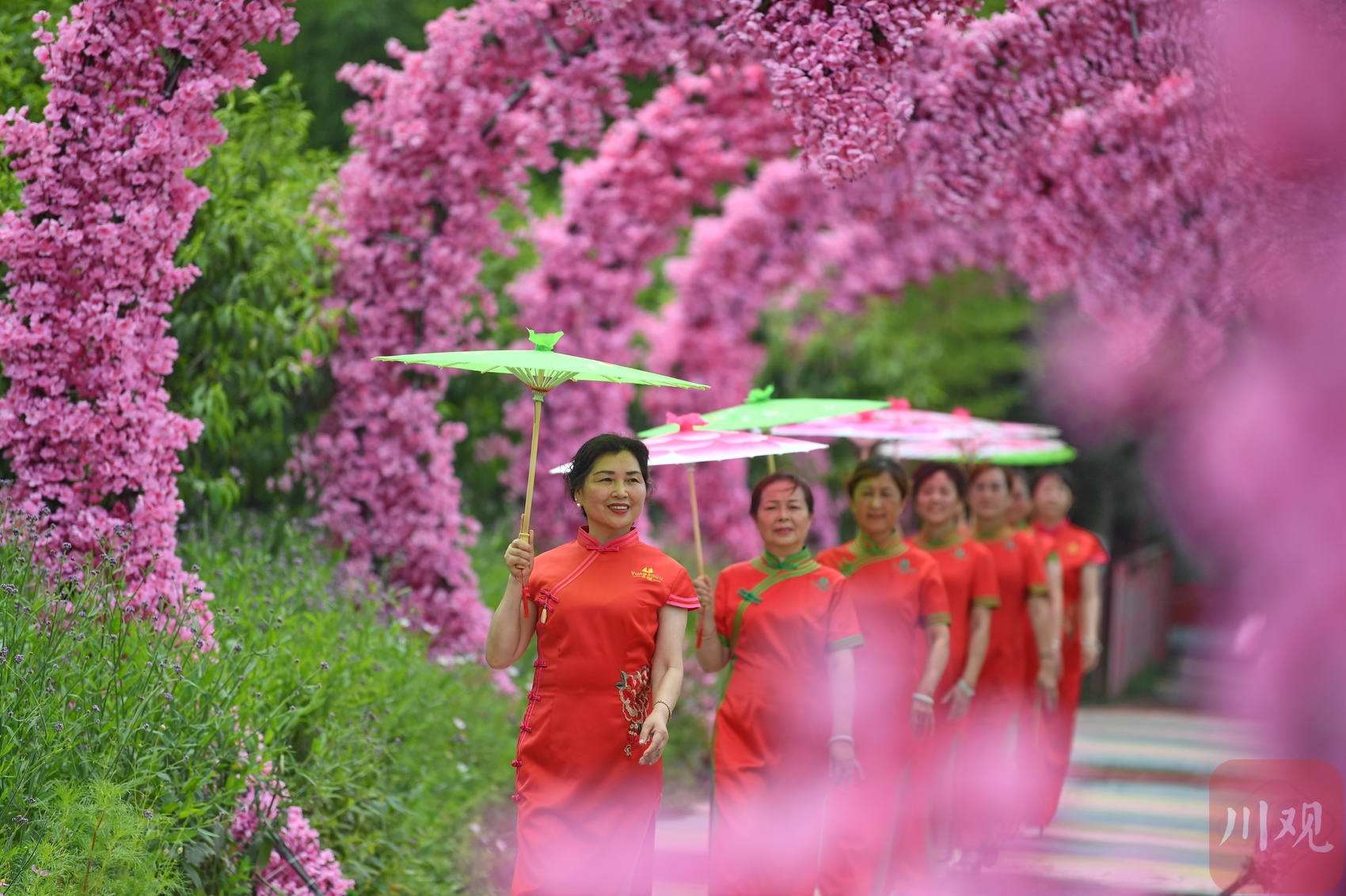 （转载）成都：荷花迎来最佳观赏期 乡村美景引客来
