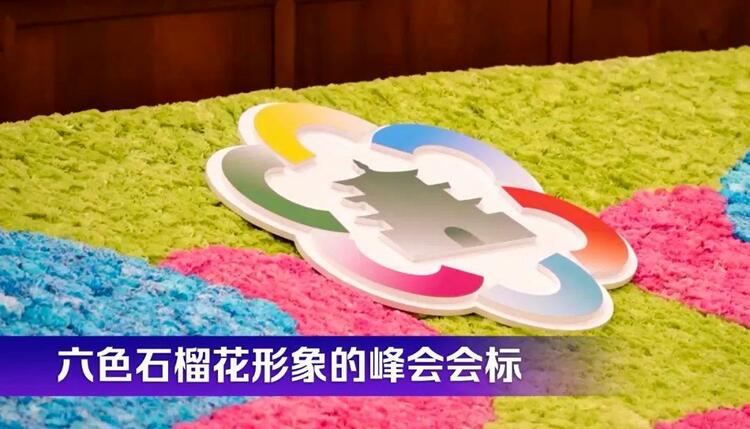 时政微观察丨石榴花开的时节