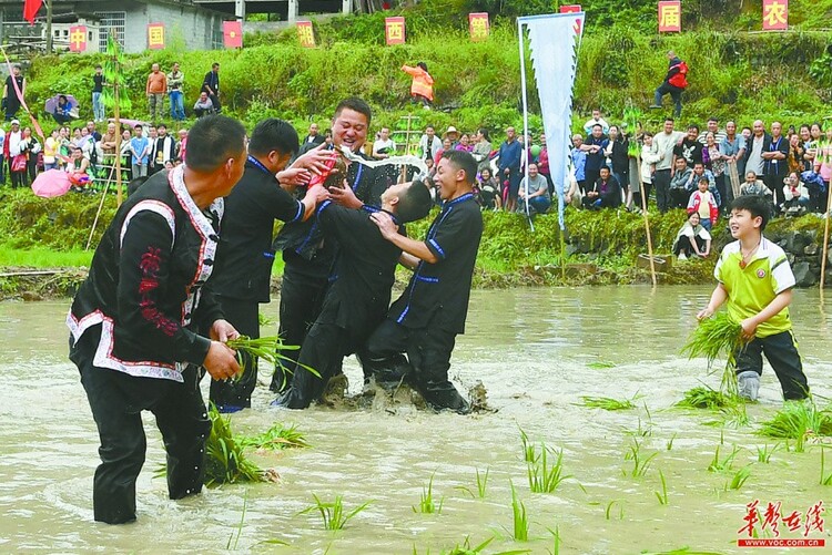 湖南湘西：欢乐农耕节