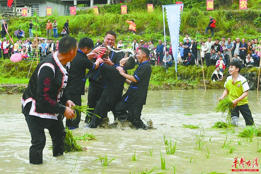 湖南湘西：欢乐农耕节