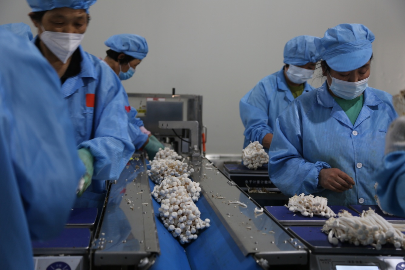 图片默认标题_fororder_图片25