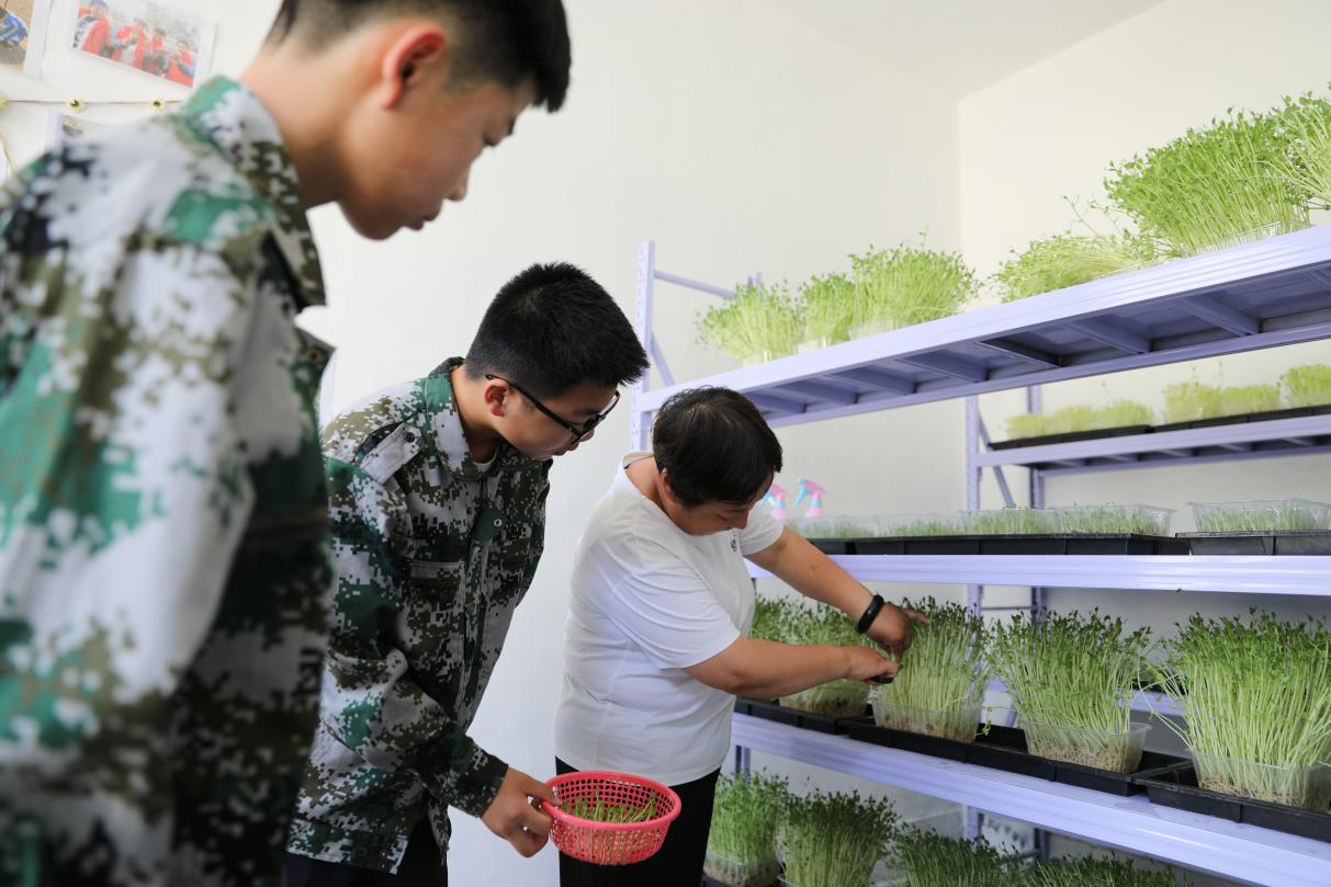 图片默认标题_fororder_图片4