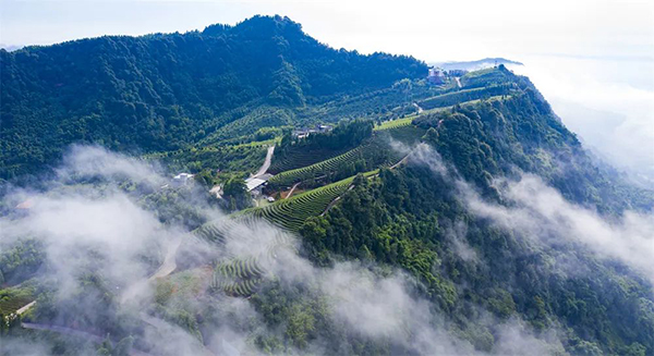 （转载）总投资10亿元 | 纳溪区茶酒旅融合项目招商