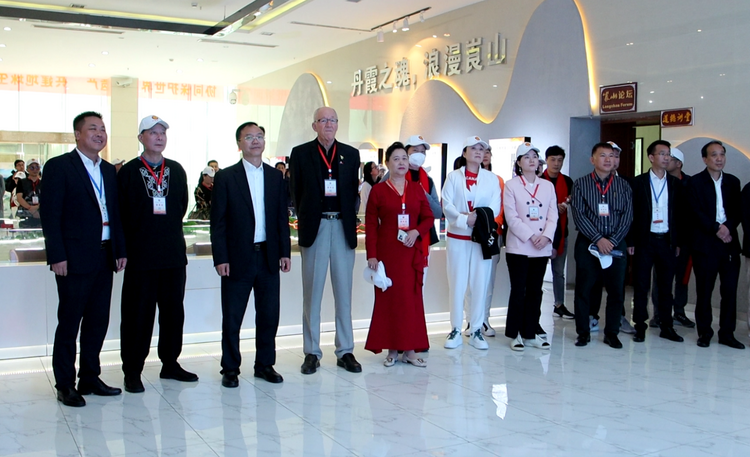 “海外侨胞故乡行——走进湖南”新宁站活动圆满举办_fororder_图片4