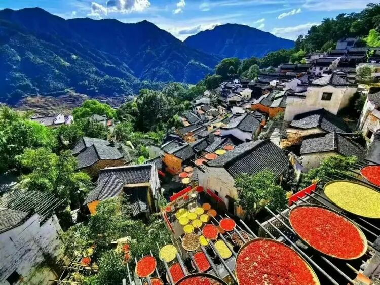 朱虹：云上古村美如画
