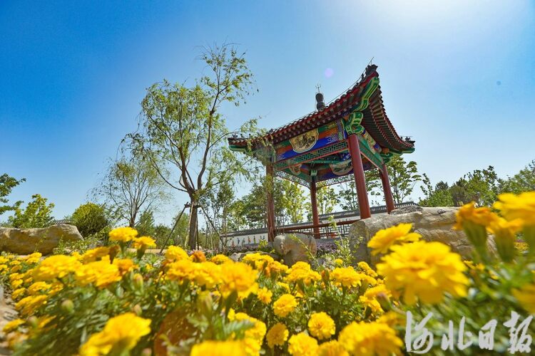 图片默认标题_fororder_7