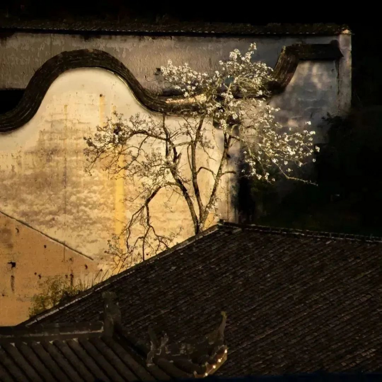 “茶盐古道 康养寿山”屏南寿山乡摄影作品展在福州开幕_fororder_图片4_副本