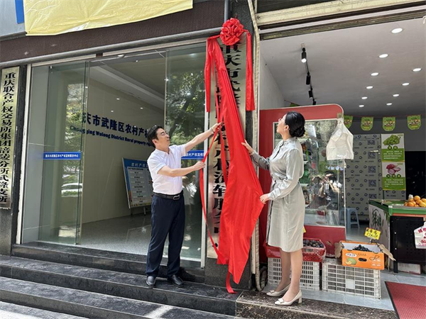 重庆市武隆区农村产权流转服务中心正式挂牌运营_fororder_图片1