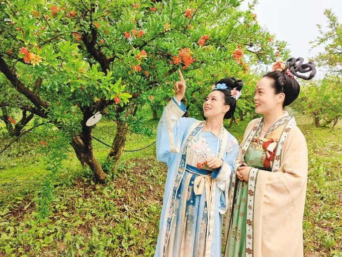 榴花似火 “看见”临潼 第七届临潼区石榴花节开幕_fororder_微信图片_20230526085529