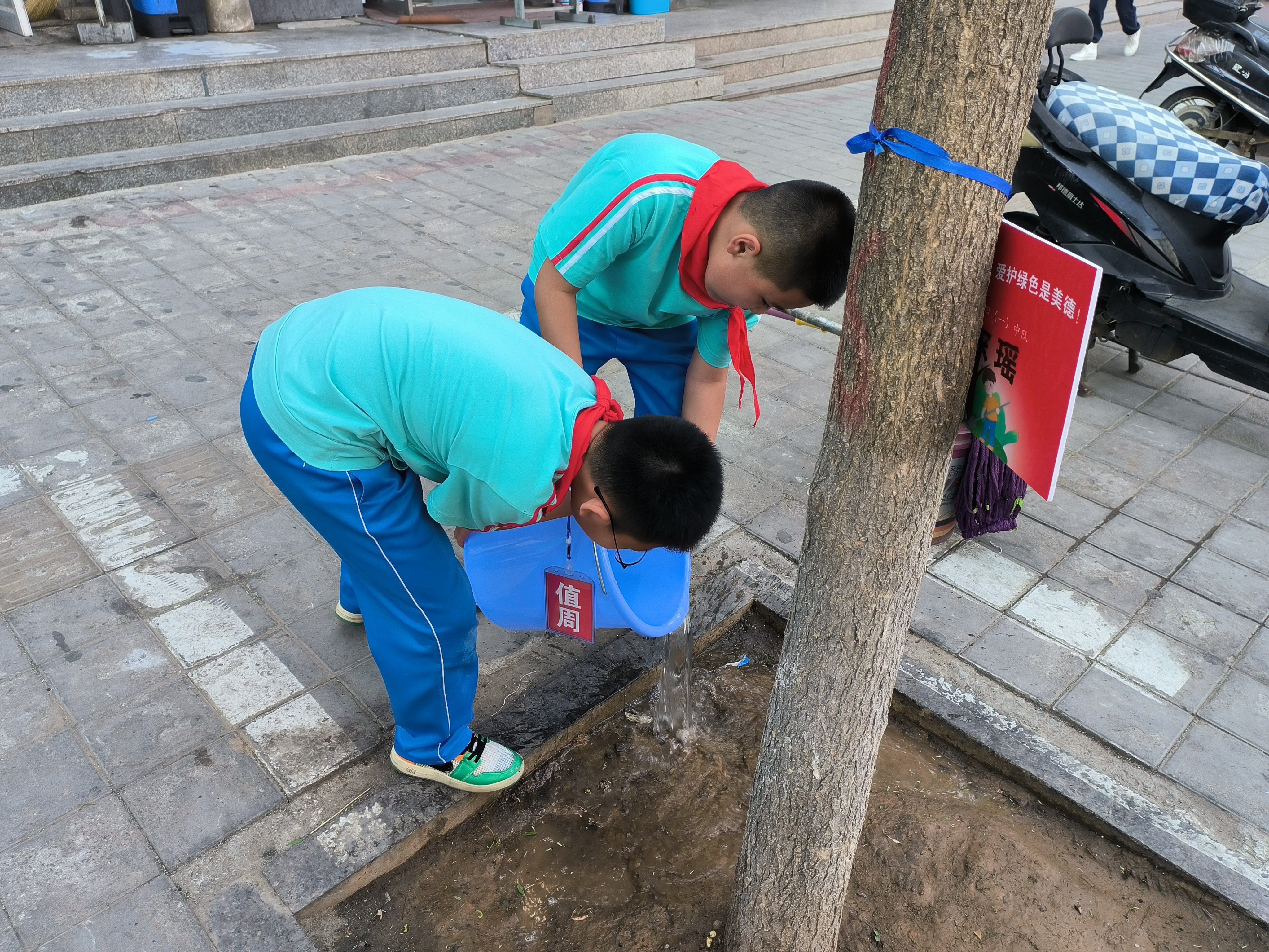 培训新农人振兴新农村_fororder_丰宁第三小学少先队员给认领小树浇树