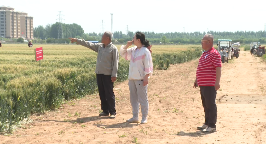 （原创）石家庄市鹿泉区：科技助力加强管理 筑牢夏粮丰收根基_fororder_图片14
